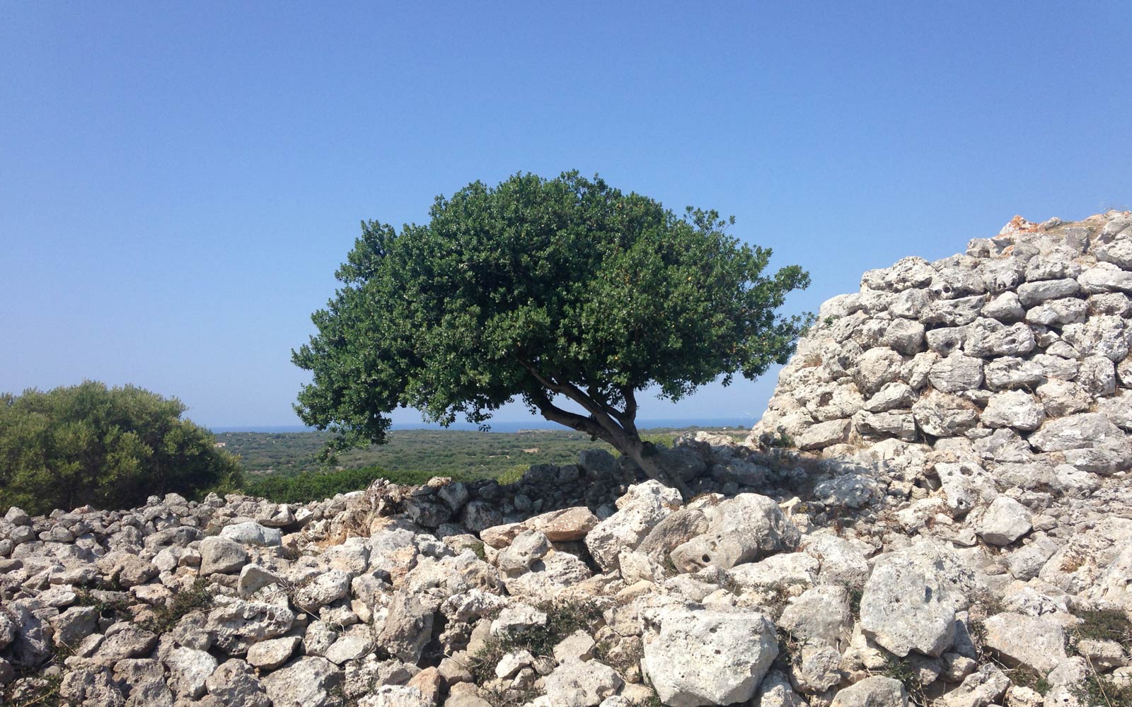 Legendary Avarcas from Menorca at The Avarca Store 